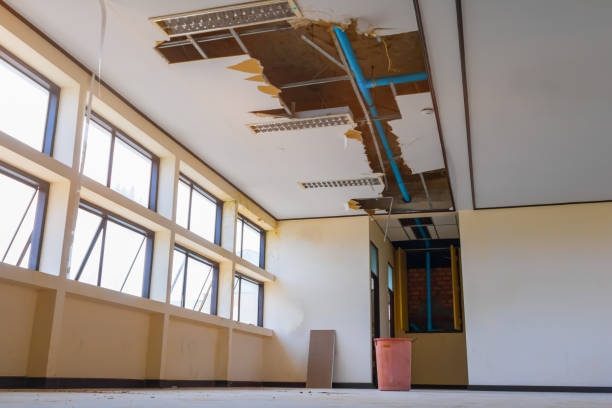 Best Flood damage cleanup  in Milford, NE