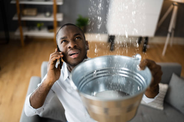 Best Professional water damage repair  in Milford, NE