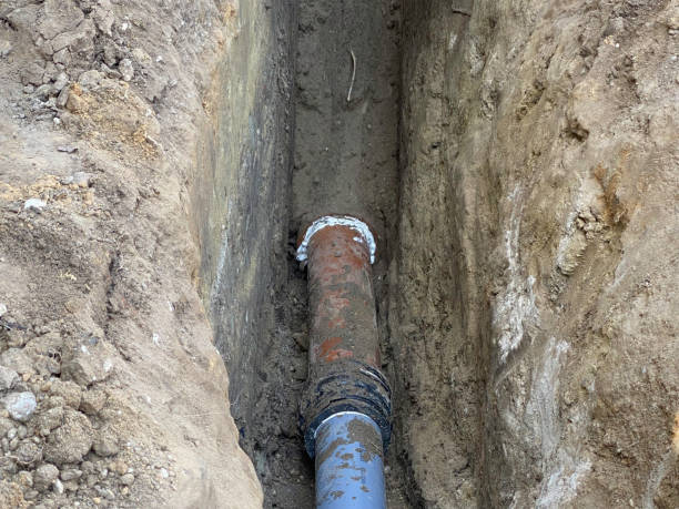 Best 24/7 water damage repair  in Milford, NE