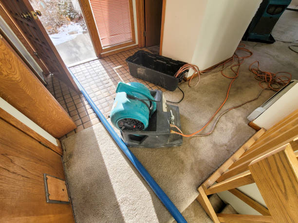 Best Sewage cleanup and water damage restoration  in Milford, NE