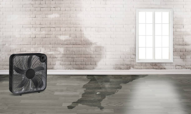 Best Local water damage restoration  in Milford, NE