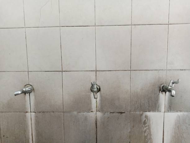 Best Water damage restoration near me  in Milford, NE