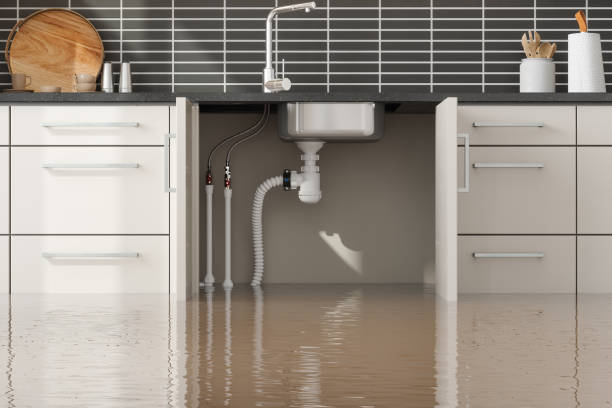 Best Water damage cleanup near me  in Milford, NE
