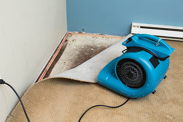 Best Water damage restoration company  in Milford, NE